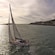 A sailing yacht gliding on the water near a shore occupied with buildings